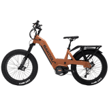 shopify-image:41578338812060