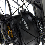 shopify-image:41619798818972