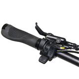 shopify-image:41619797606556