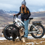 shopify-image:43985665294492