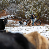 shopify-image:43985665327260