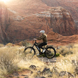 shopify-image:43970028896412