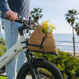 Front Rack - Joy Carbon [Urtopia]