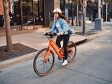 shopify-image:55523779150196