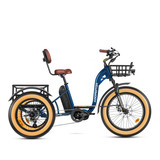 Grandtan Turbo Mid-Drive eTrike [AddMotor]