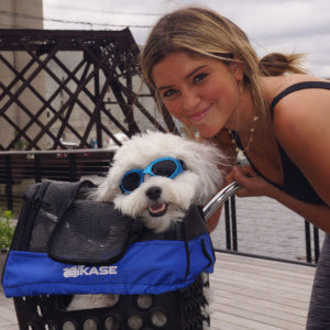 Pet Carrier with Seat Post Rack [BiKASE]