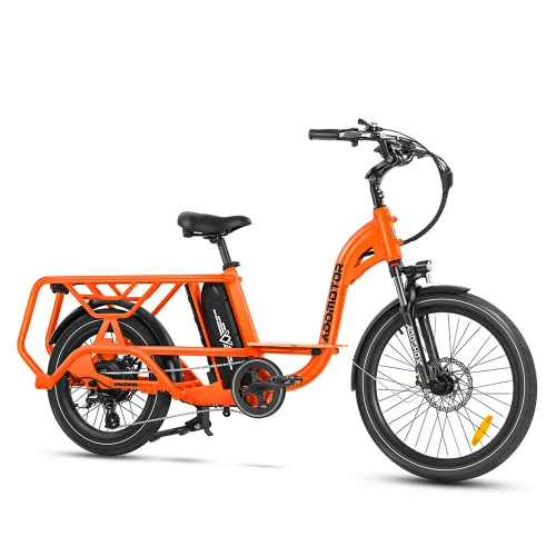 Graoopro Cargo eBike [AddMotor]