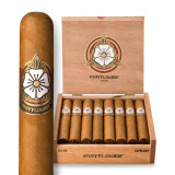Mayflower Dawn Robusto Cigar Box of 15