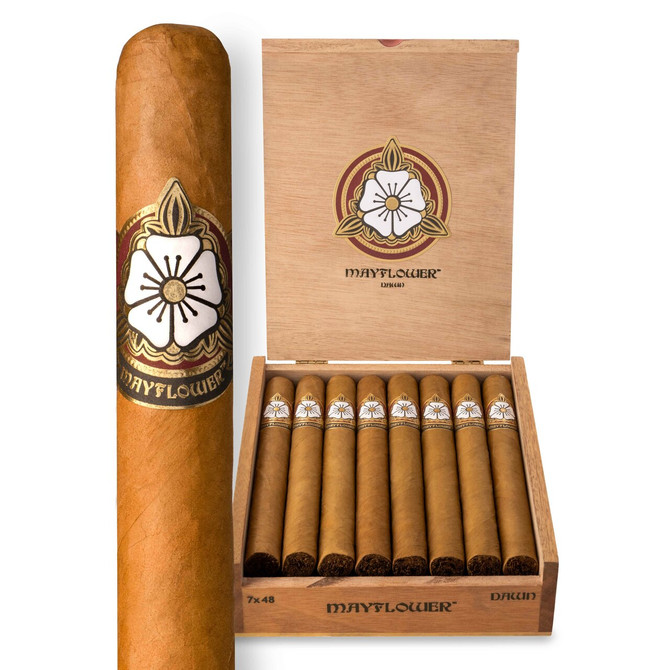 Mayflower Dawn Churchill Cigar Box of 15