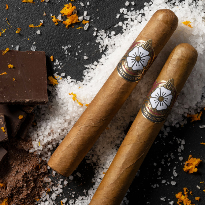 Dawn cigar flavor profile