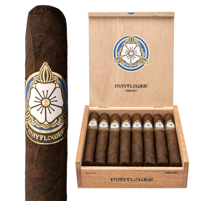 Mayflower Dream Toro Box of 15