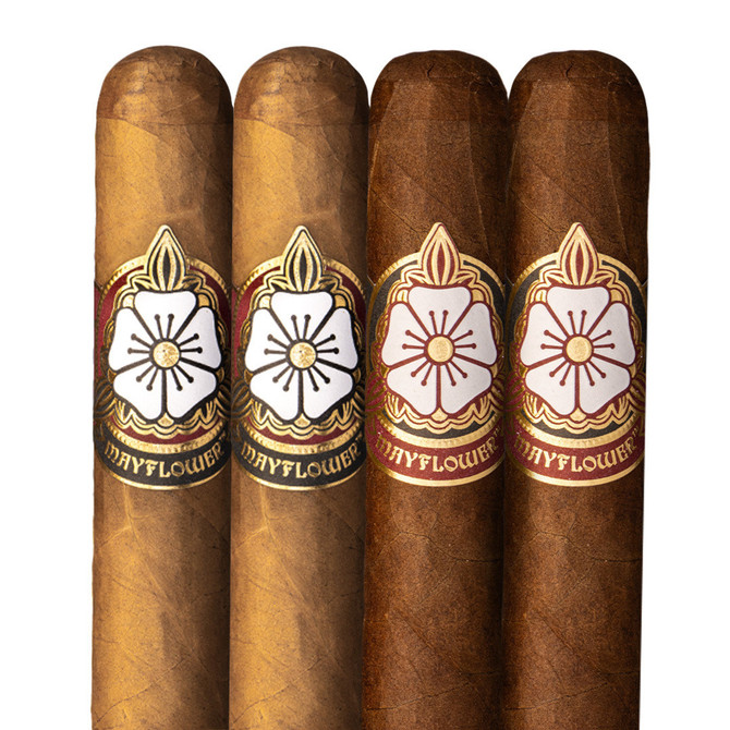 4-Cigar Assortment Robusto BOGO