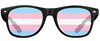 Transgender Pride Flag Sunglasses