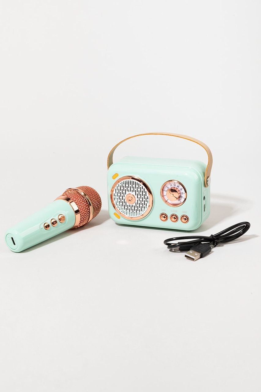Multitasky Haul  On-The-Go Mini Karaoke Machine Kit