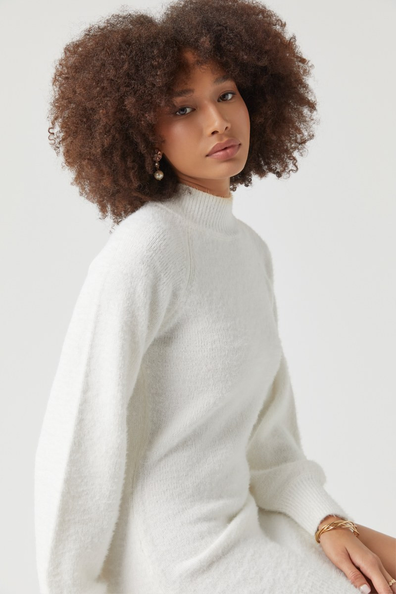 Rosemary Mock Neck Fuzzy Sweater Dress | francesca's