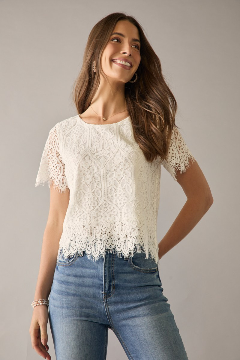 Clara Crewneck Short Sleeve Lace Blouse Top | francesca's®
