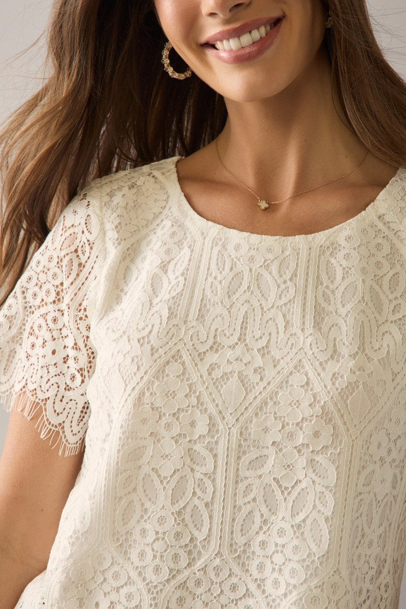 Clara Crewneck Short Sleeve Lace Blouse Top | francesca's®