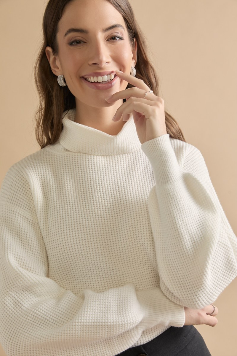 Elaine Balloon Sleeve Turtleneck Rib Knit Pullover