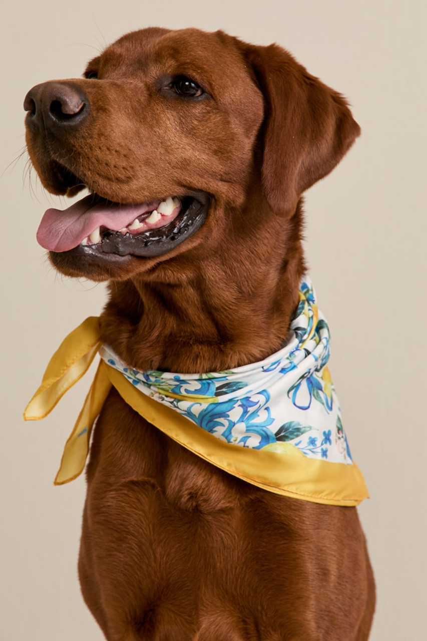 Bianca Lemon Print Scarf