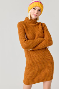 ST22S493_Camel