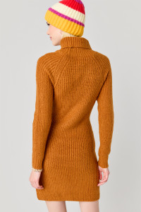 ST22S493_Camel