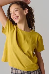 GB2055-T_eb4656d059b77c627652e90f92c64a1dc86e25e9_Mustard