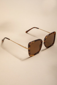 FORECAST-T-GD_3d3485fae70b46d406809f490095dd9192d42689_Tortoise