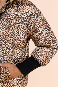 CD2891YFR-T_Leopard