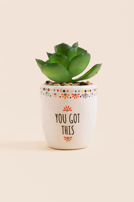 You Got This Faux Succulent