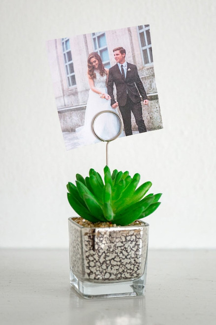 Mercury Succulent Photo Holder