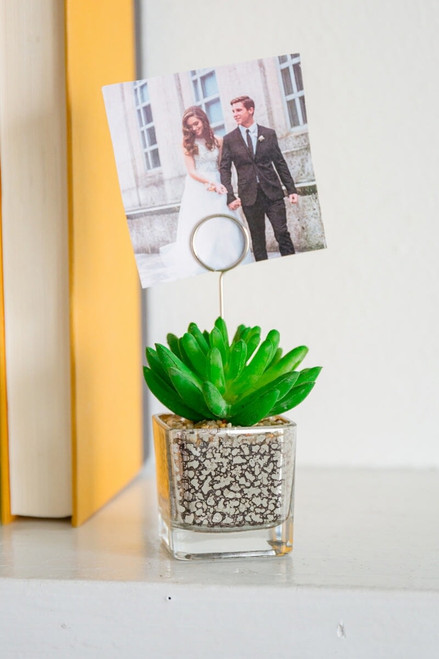 Mercury Succulent Photo Holder