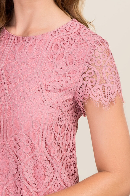 Vanna Scalloped Lace Shift Dress