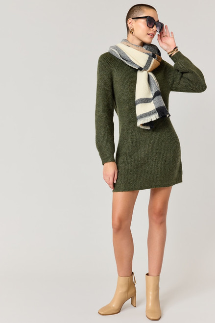 Eva V Back Sweater Mini Dress