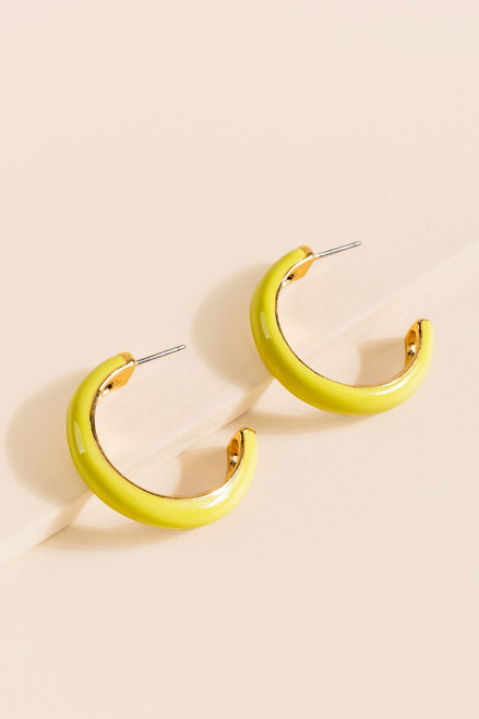 Lucy Thick Medium Hoop Earrings