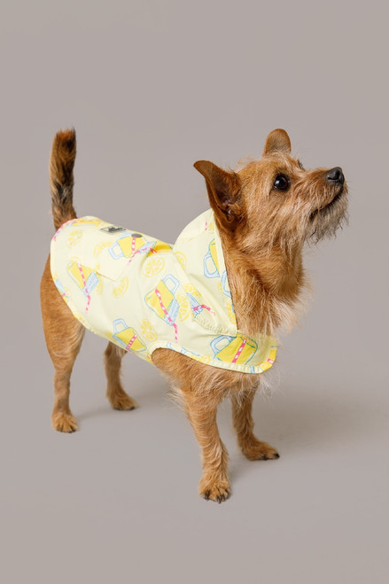 Canada Pooch Lemonade Poncho S10