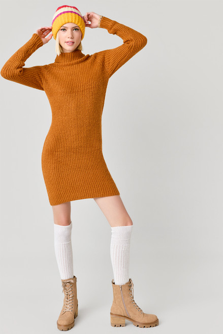 Shawnie Pointelle Sweater Mini Dress