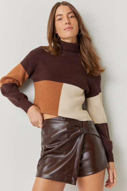Dana Color Block Turtleneck Sweater