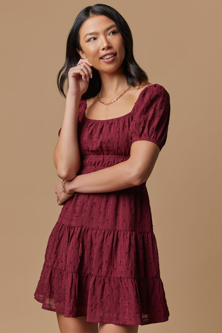 Scarlet Cinched Textured Dress