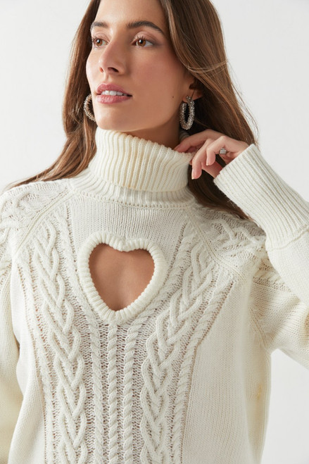 Shae Turtleneck Pullover Sweater