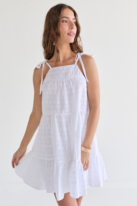 Robyn Tie Strap Embroidered Mini Swing Dress