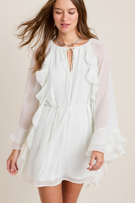Jacklyn Ruffled Chiffon Mini Dress