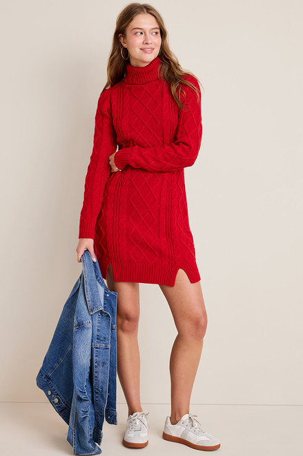 Gabrielle Turtle Neck Sweater Mini Dres