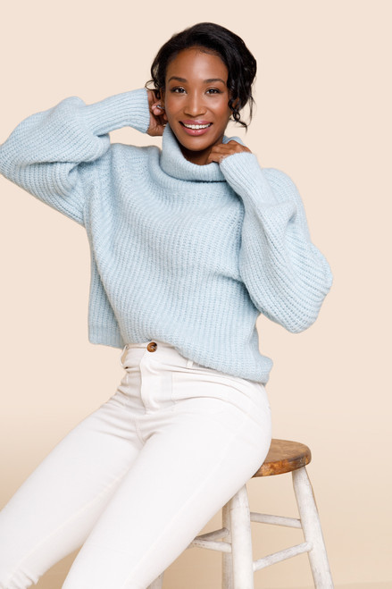 Ash Turtleneck Sweater Pullover