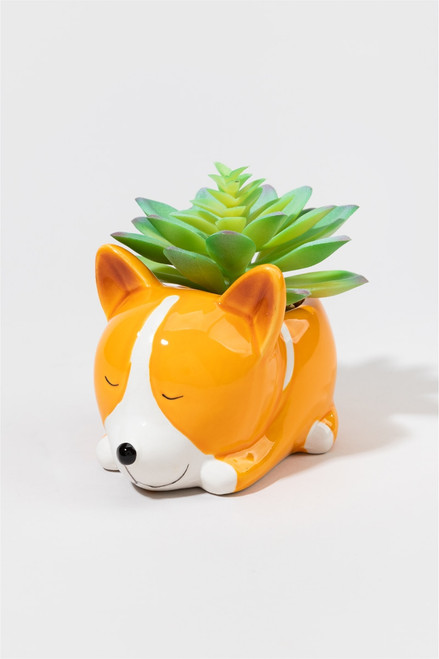 Corgie Faux Succulent