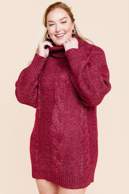 Cadie Cable Turtleneck Sweater Mini Dress