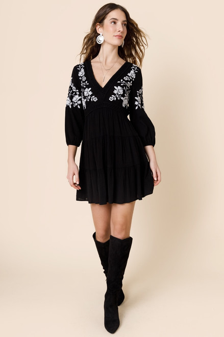 Arielle Embroidered A-Line Mini Dress