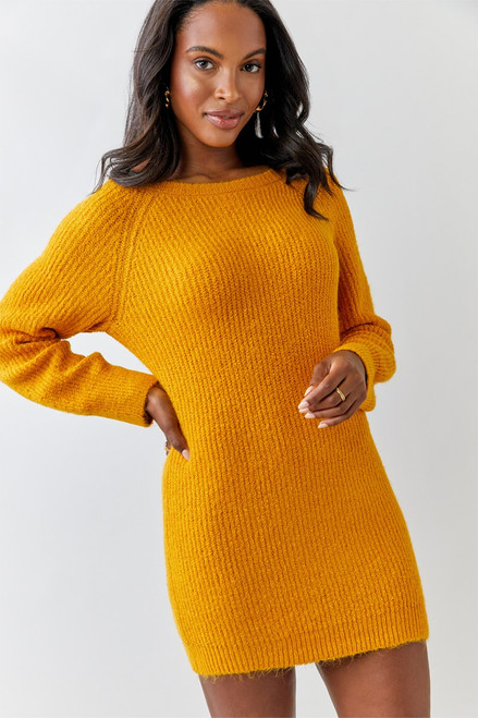 Raleigh Boat Neck Sweater Mini Dress