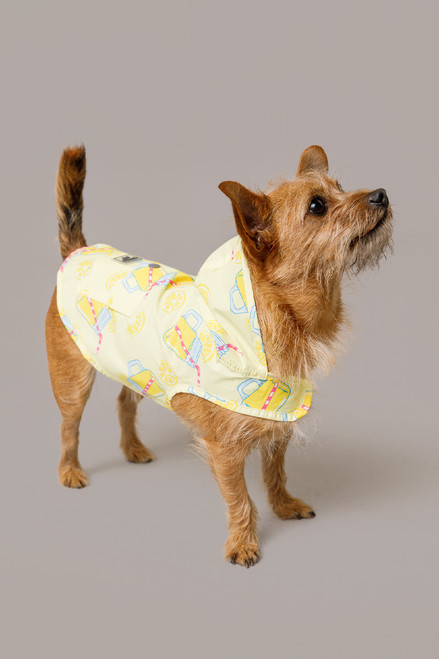 Canada Pooch Lemonade Poncho S16