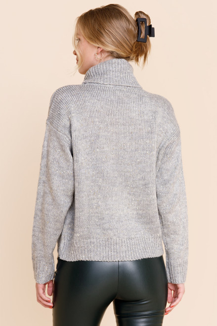 Diane Turtleneck Pullover Sweater