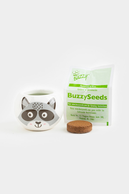 Buzzy Grass Grow Kit | Racoon